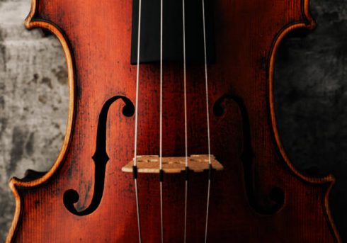 Bando di Audizioni – Viola di fila con obbligo della seconda