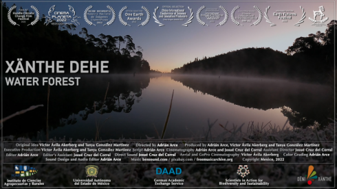 Xänthe Dehe (Water Forest) – Climate Space