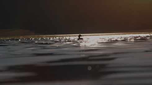 The Breaths of the City – Climate Space